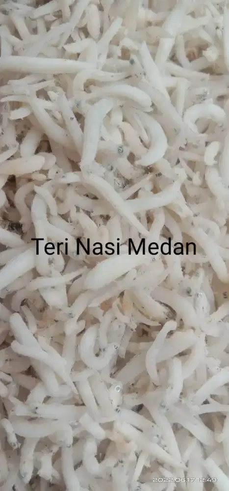 Menyediakan segala macam ikan asin