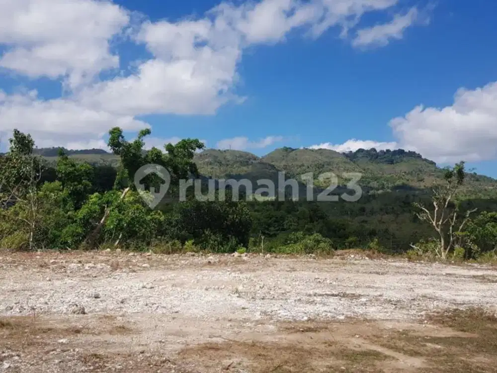 Tanah Kavling Klumpu Nusa Penida, 330M², SHM, Sisa 1 Kavling, Rp 200 Juta