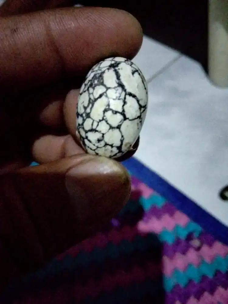 Batu pirus putih