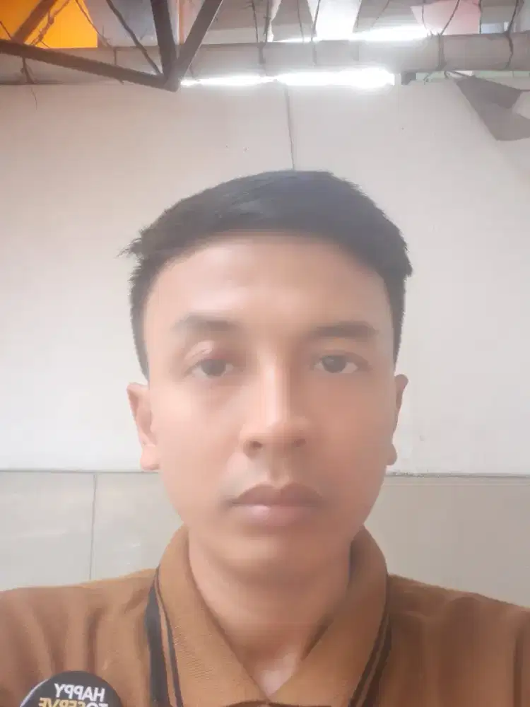 Supir pribadi atau driver pribadi