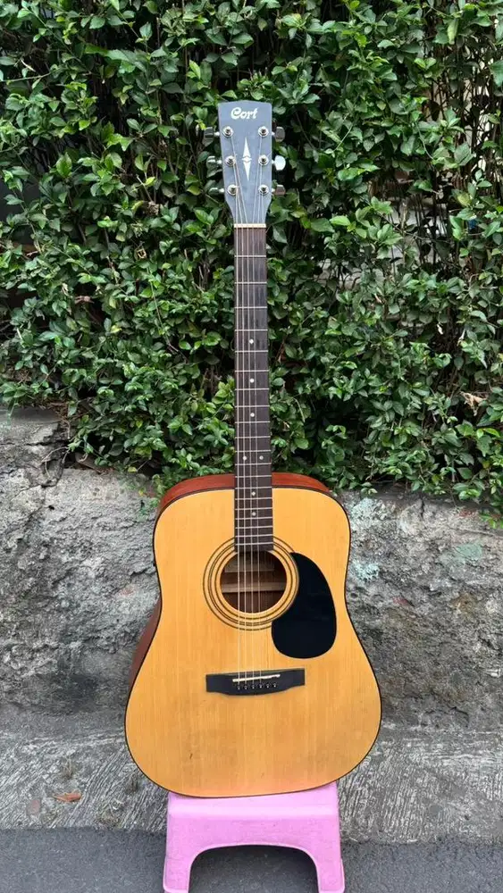 Cort AD 810e op