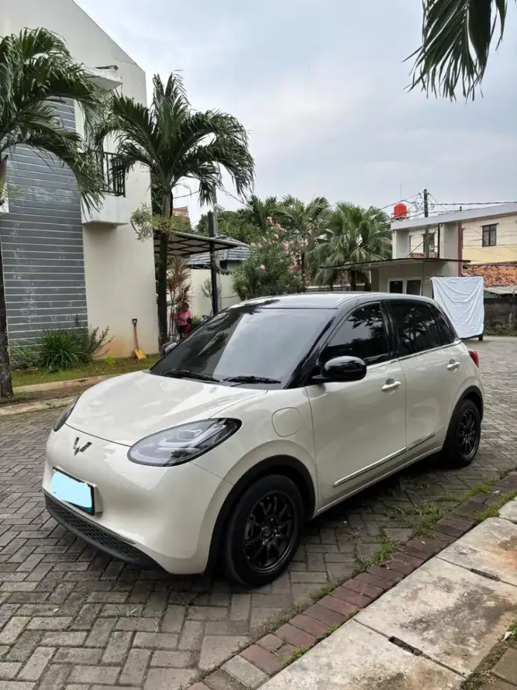 Wuling binguo 410 2024