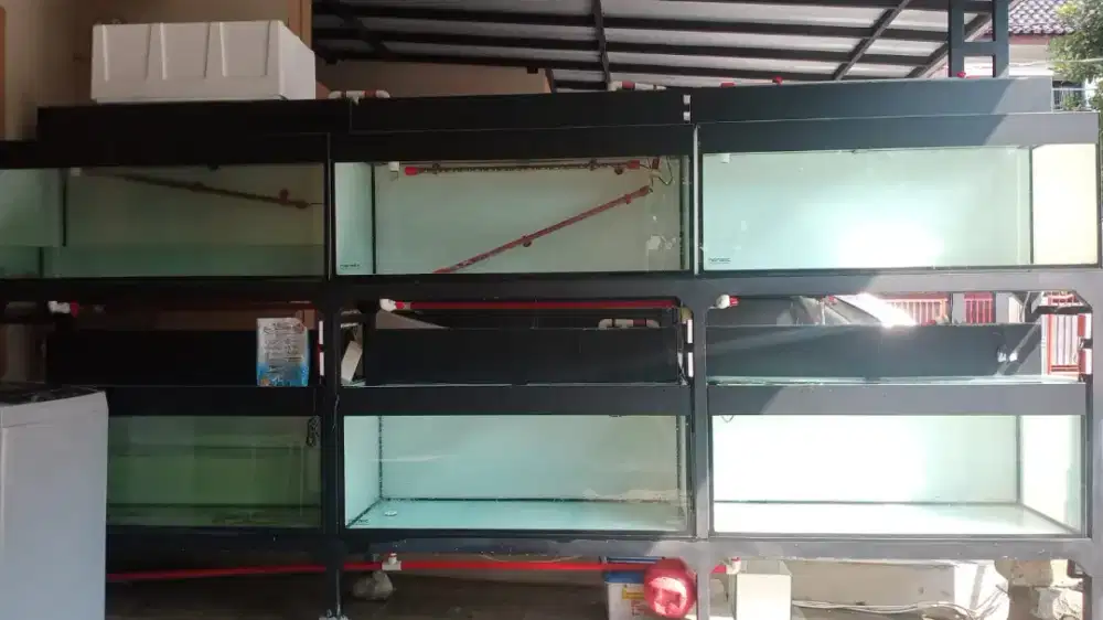 JUAL Aquarium custom