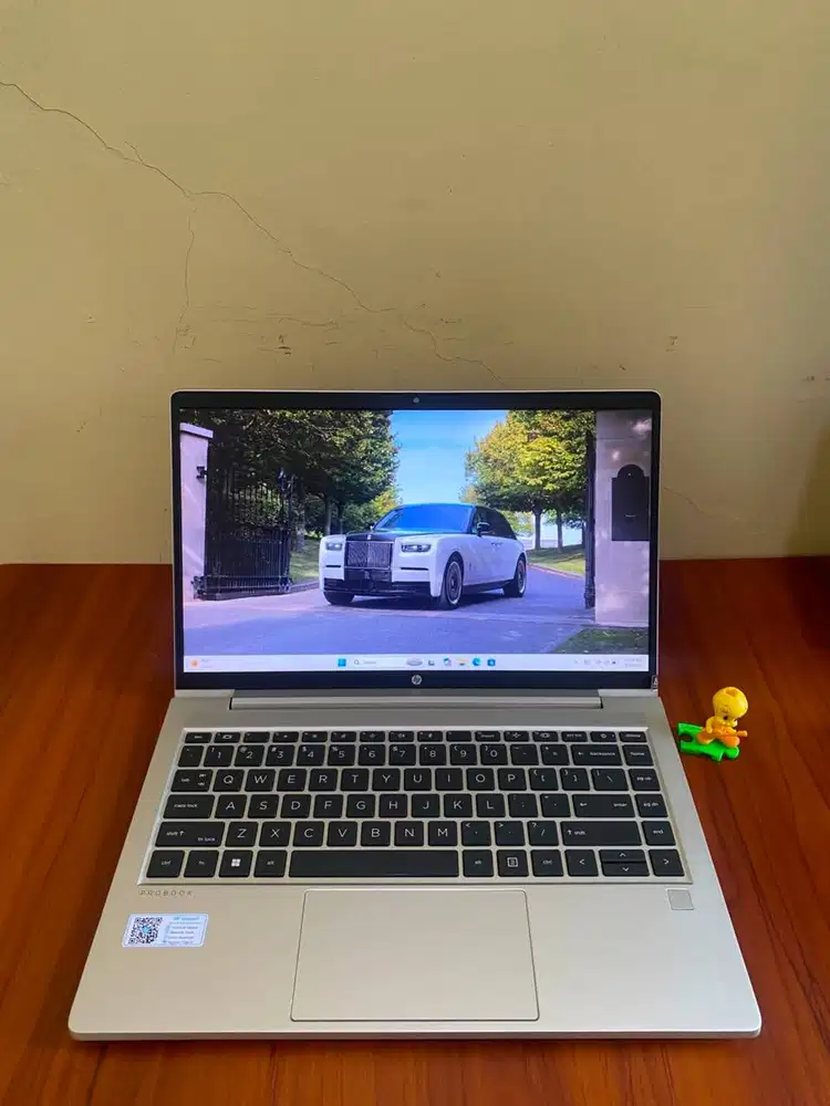 HP Probook 445 G8