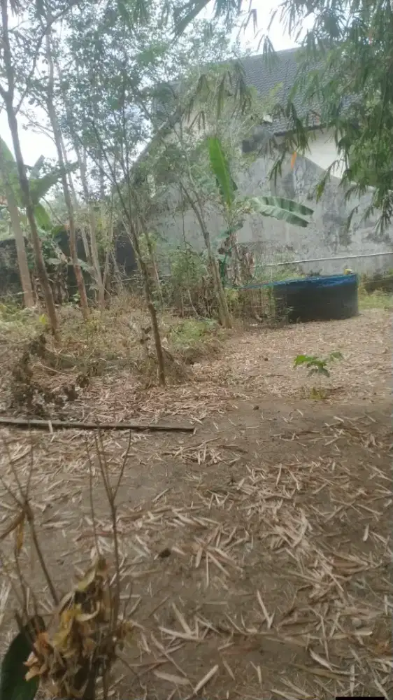 Tanah murah dekat ke UGM di area jalan damai SindhuHarjo Sleman
