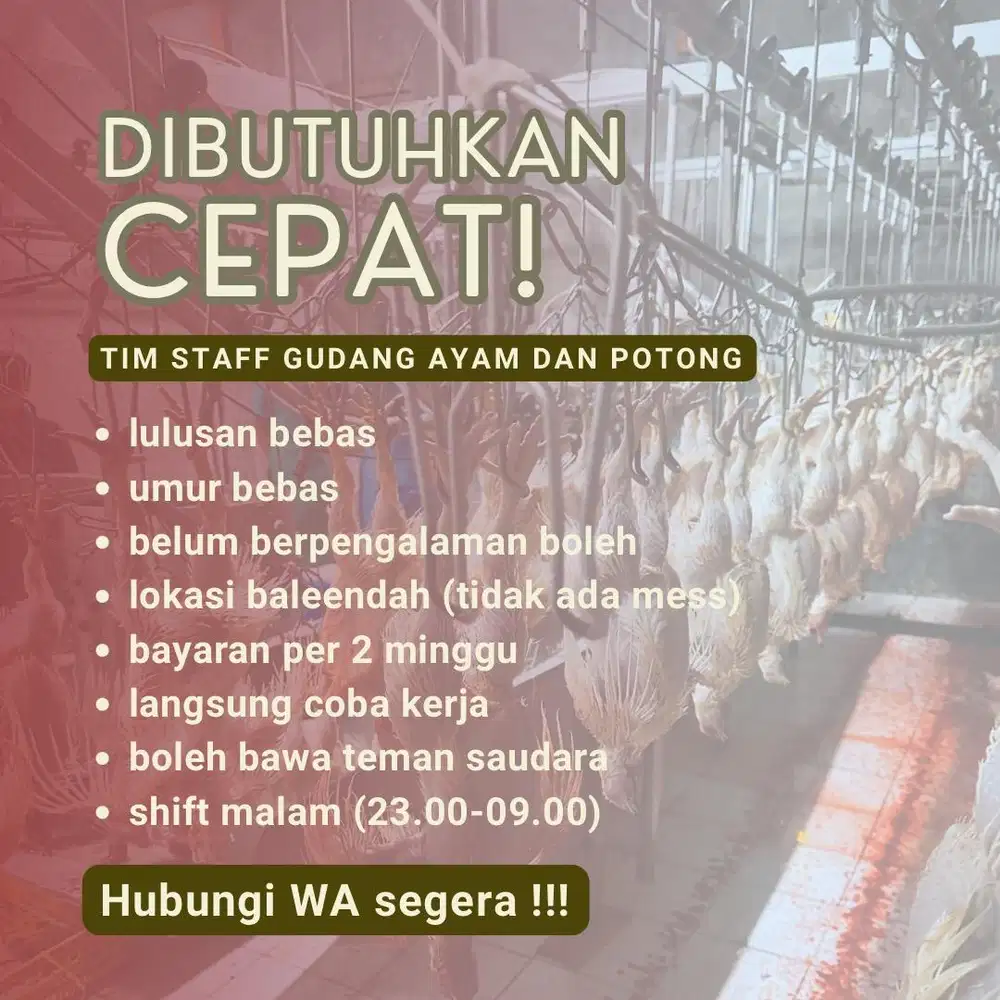 DIBUTUHKAN CEPAT