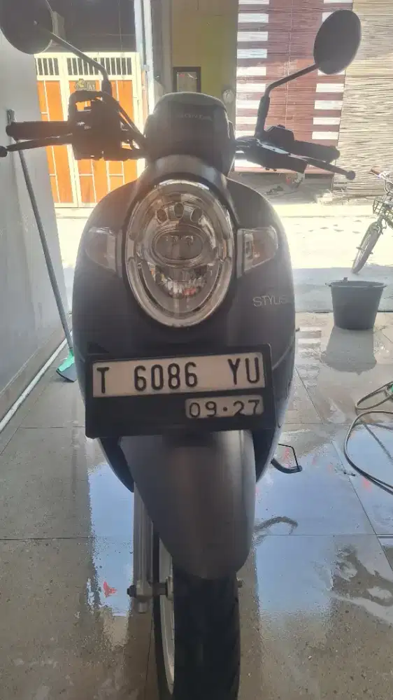 Scoopy Staylish