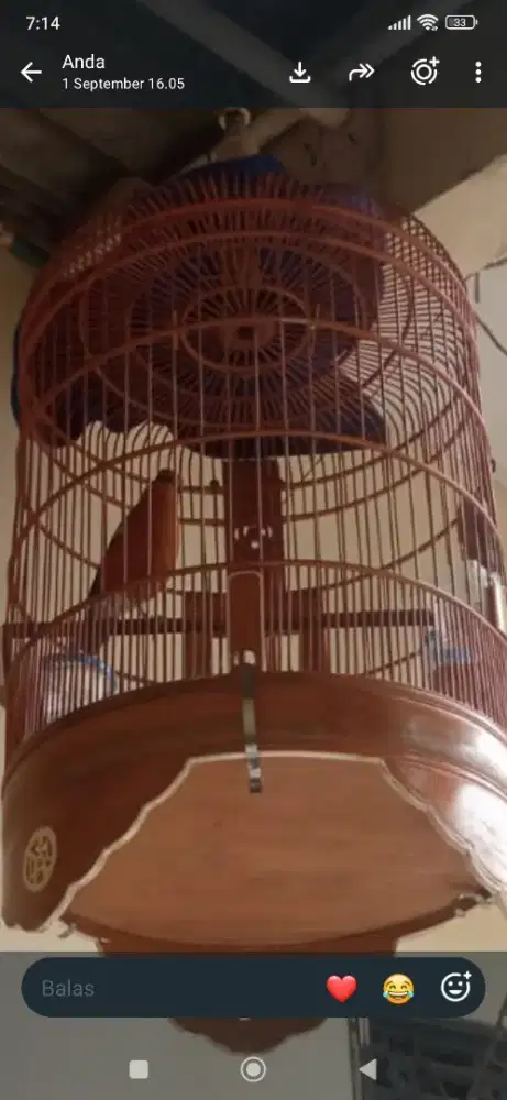 Dijual am ring bali bodi big dah rajin semi msih giras