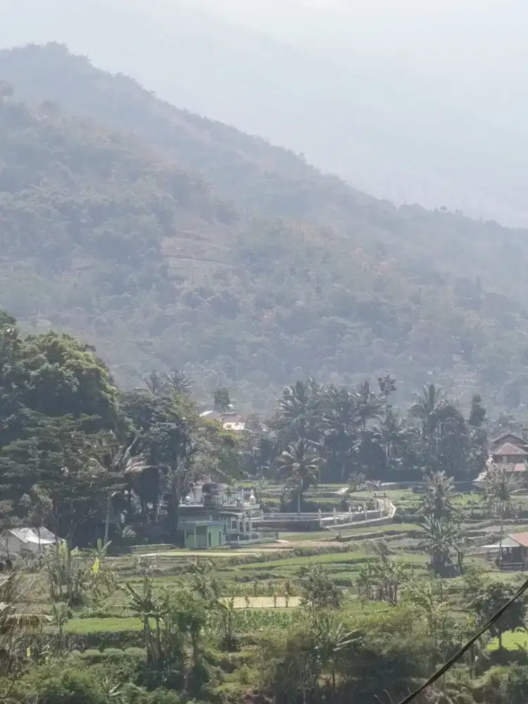BU nego sampai jadi