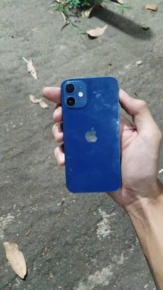 Iphone 12 Mini 256gb inter allop