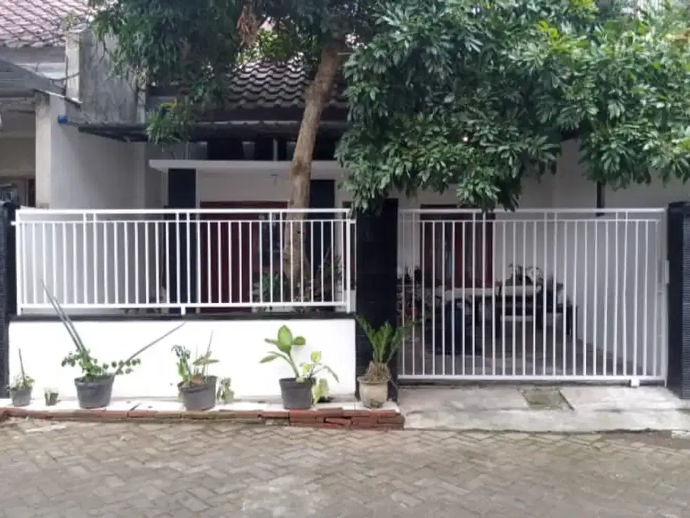 Di jual rumah murah lokasi dinoyo dekat sardo dan kampus UIN dan UB Malang