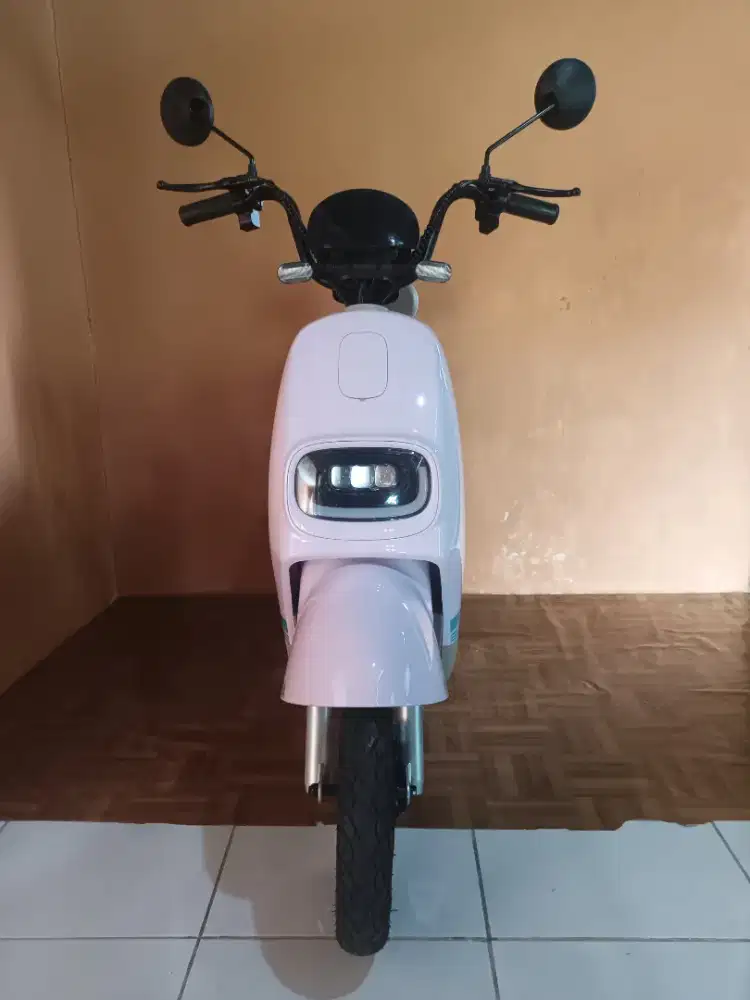 Sepeda listrik istimewa