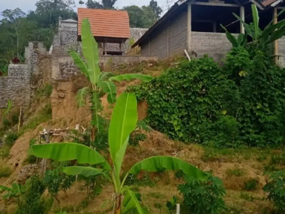 Dijual Tanah 6,5 Hektar Kawasan Wisata Baru Turyapada Tower Bali Utara