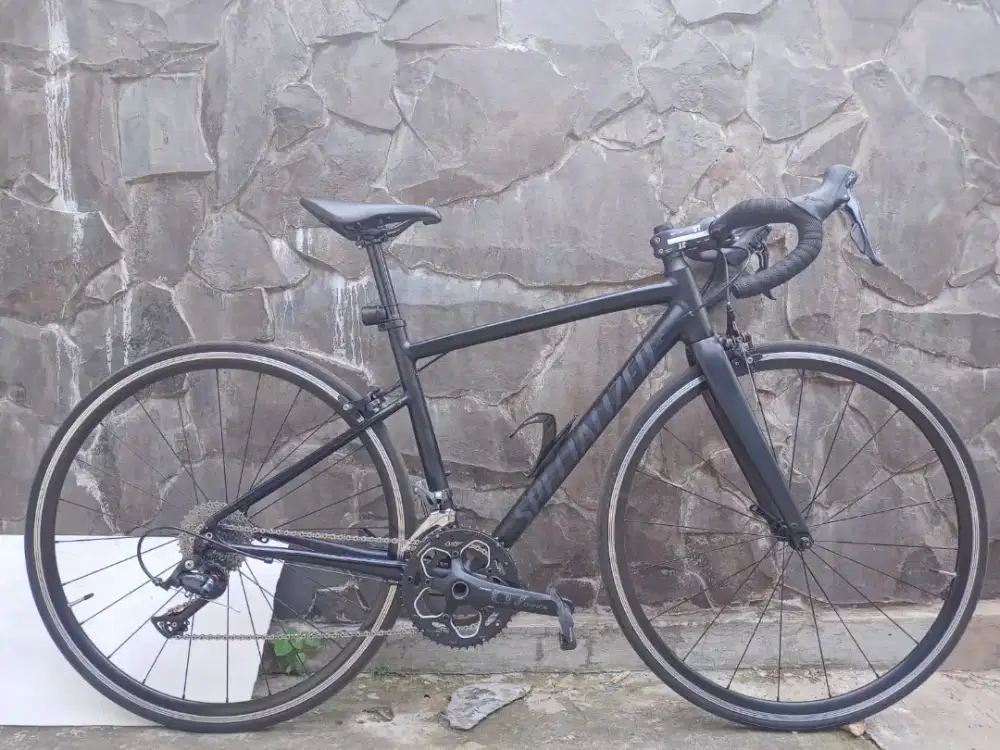Frameset Roadbike Specialized Allez E5 Elite size 49