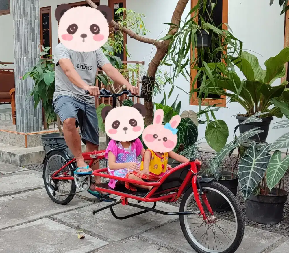 Sepeda Cargo bekas bukan mtb