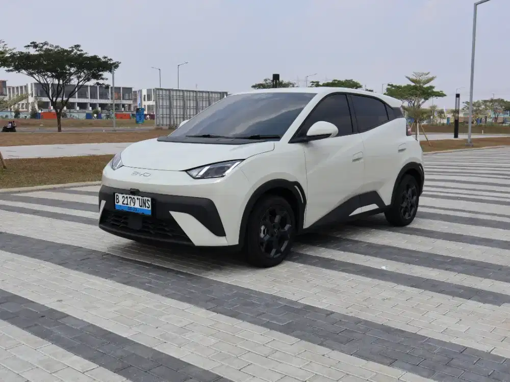 BYD Atto 1 Premium 380 Long Range at 2025