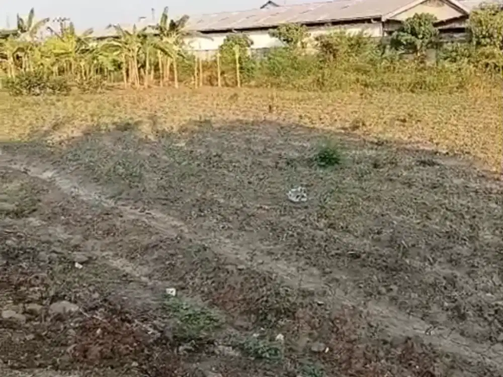DI JUAL TANAH PRIBADI SHM DI WIKARSA MOJOKERTO