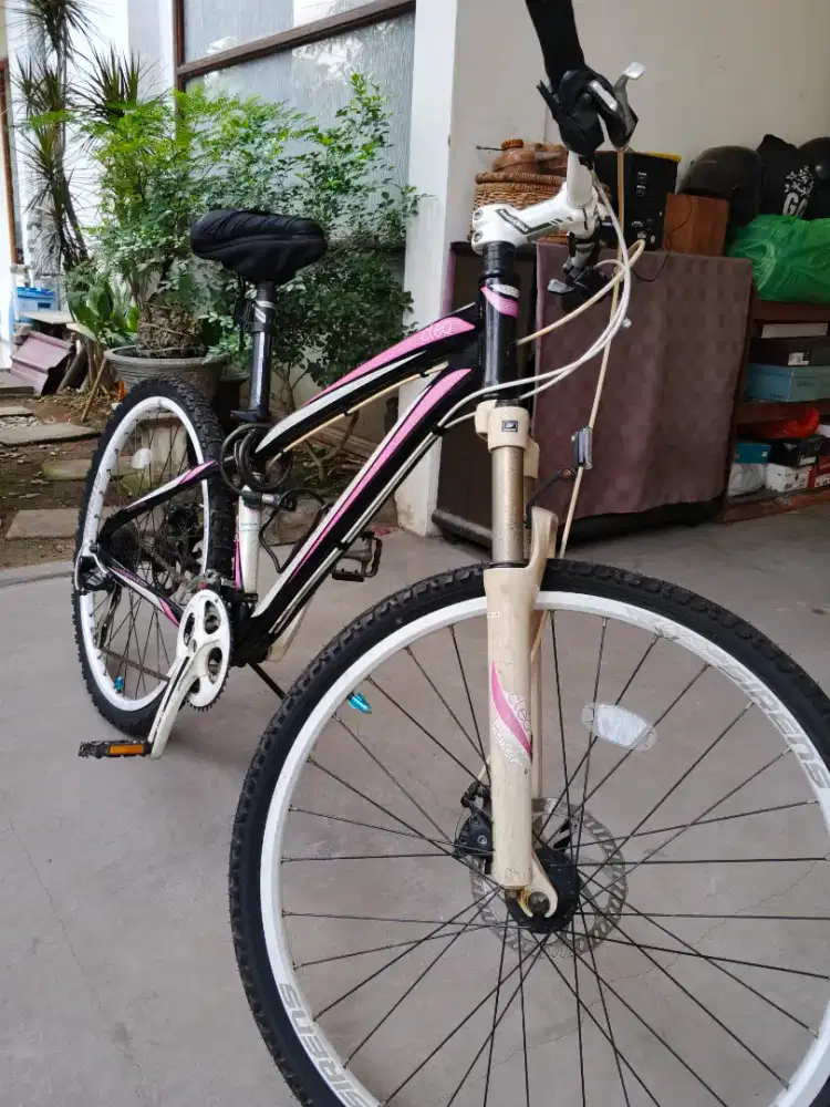 Polygon Cleo 3.0