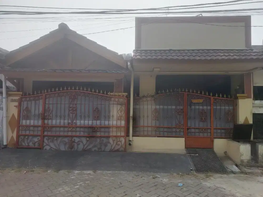 Di sewakan 1 unit Rumah