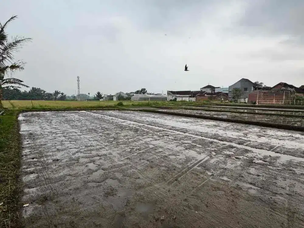 SAWAH MALANG DEKAT EXIT TOL