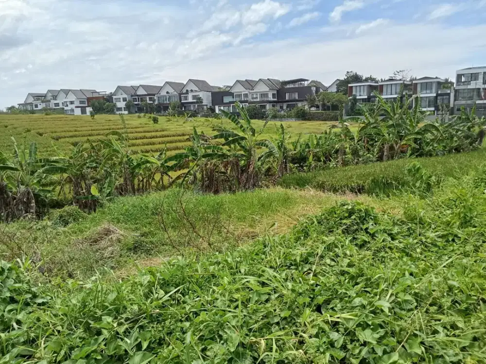 DIJUAL / FREEHOLD : Tanah Kosong View Paddie, di Pantai Cemagi, Bali