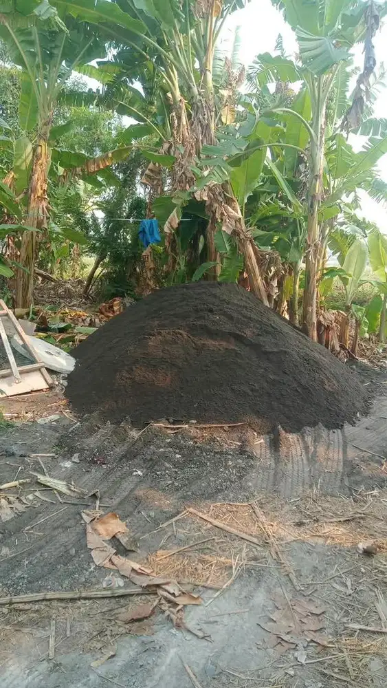 Pasir Campur Hitam Free Ongkir