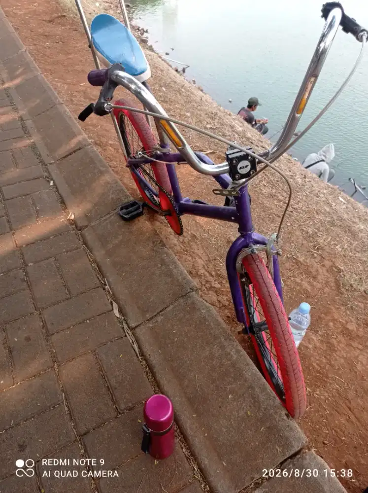 BMX Lowrider 20'