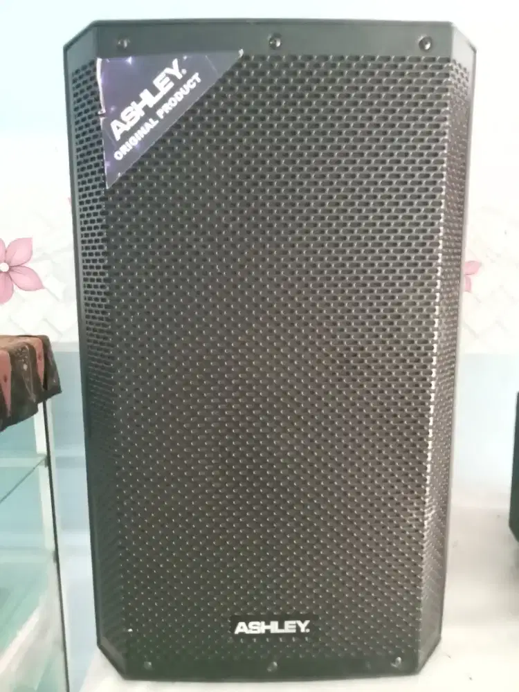 Speaker Ashley 15