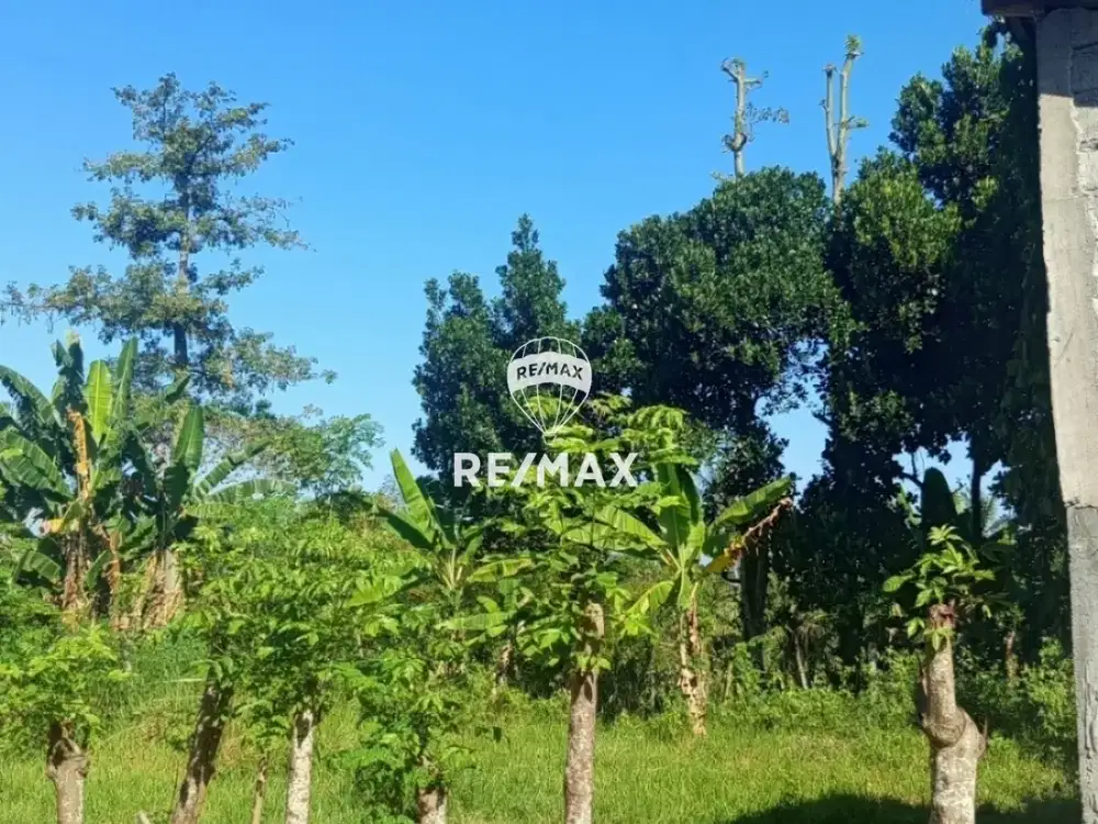 DIJUAL TANAH KAVLING – BANJARSARI, GLAGAH BANYUWANGI