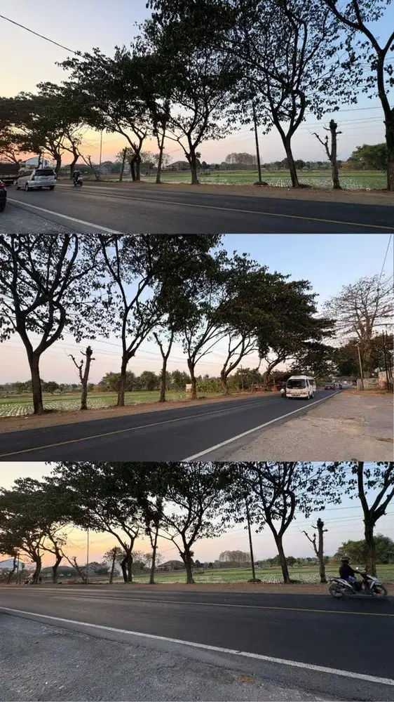 Dijual Tanah Persawahan 14.425 m² - Jalan Raya Provinsi Madiun-Nganjuk
