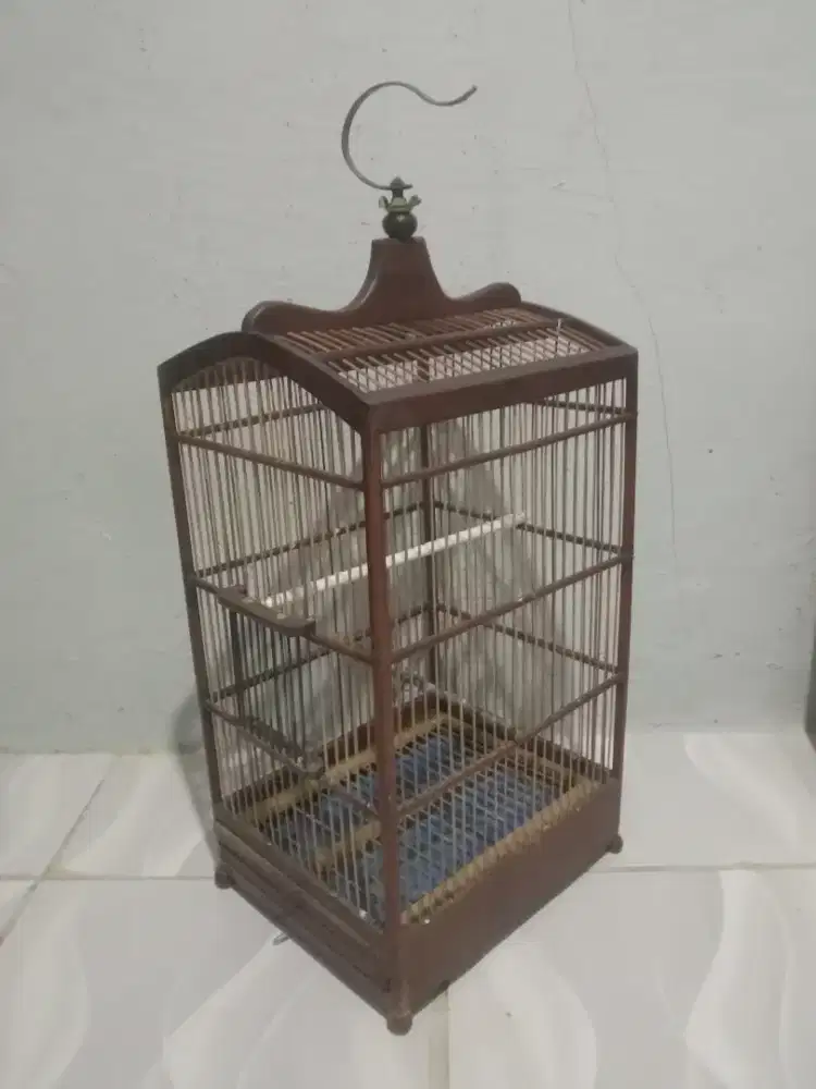 kandang no 4 keker layak pakai