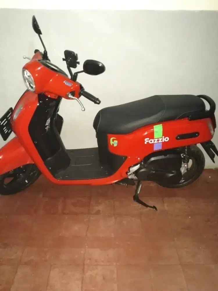 Jual Fazzio 2025