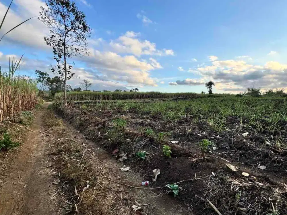 LAHAN LUAS 5 HEKTAR BUAT PERUMAHAN KARANGPLOSO