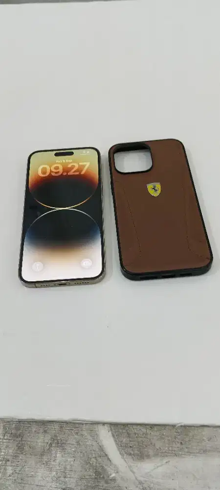 ipgone 14 promax 128,belum pernah bongkar,batangan