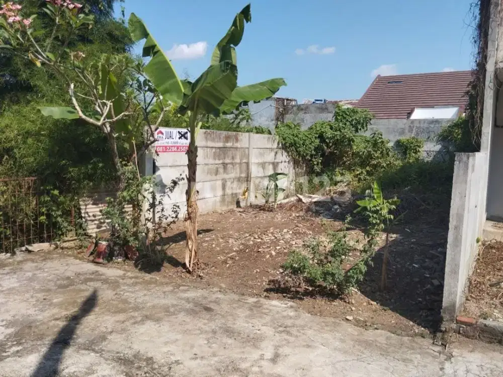 Tanah daerah Srondol kulon tidak banjir, sejuk