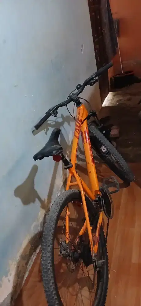 MTB Polygon Cascade