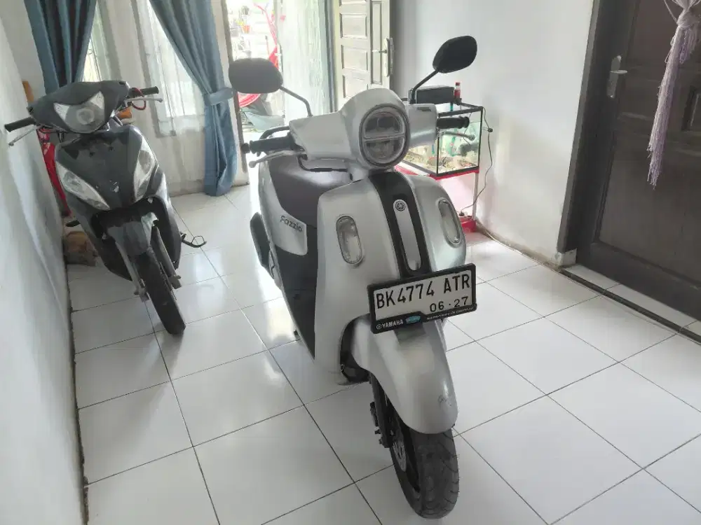 Fazzio Tahun 2022