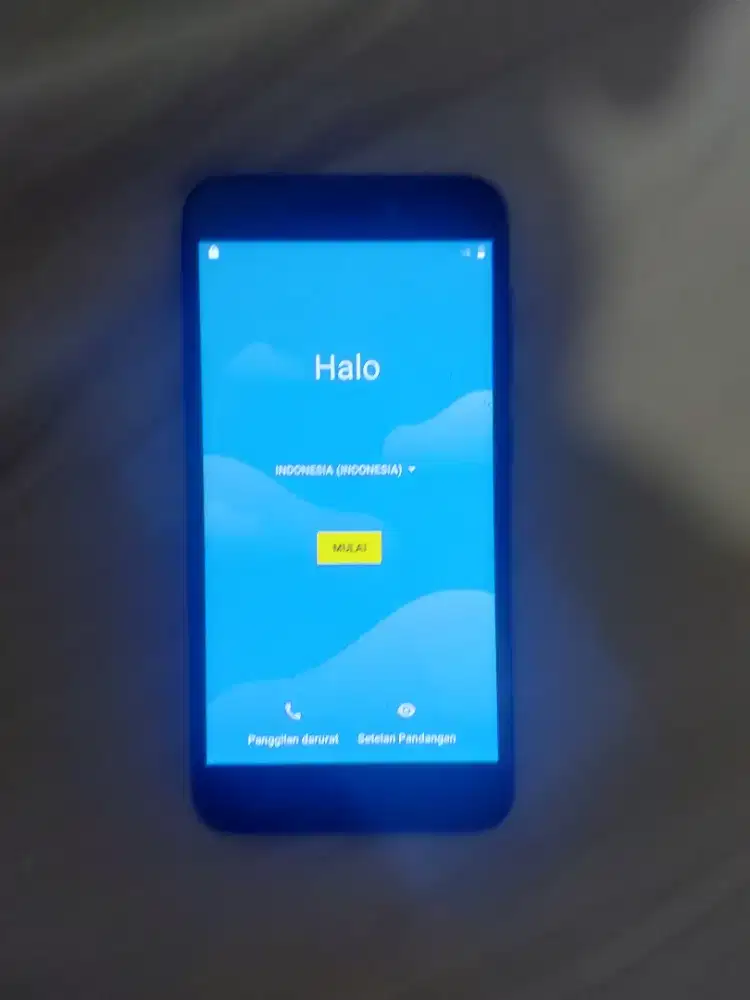 Xiaomi Redmi Go.