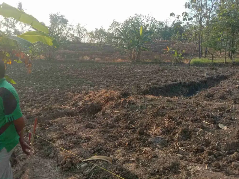 Tanah dijual murah