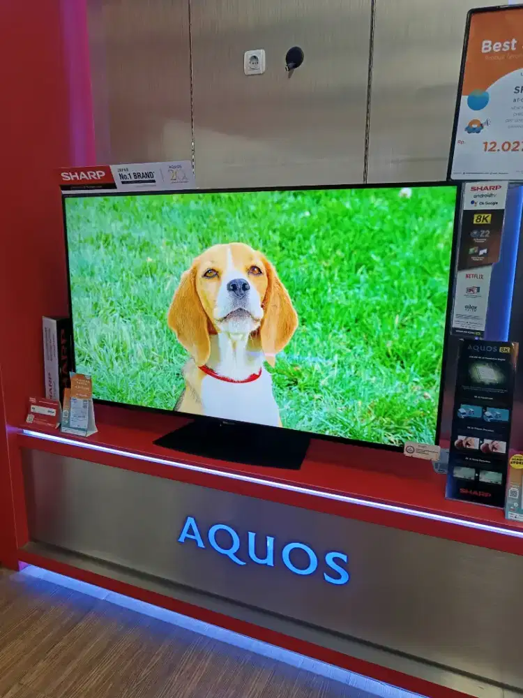 TV SHARP 8TC60DW1X