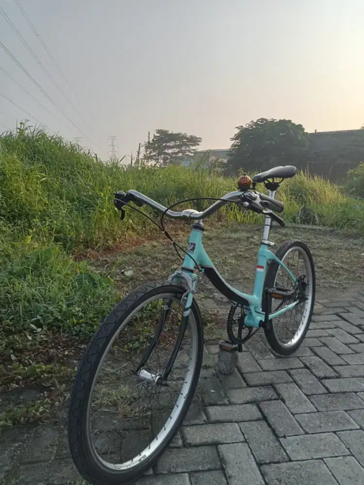 Sepeda custom minitrek