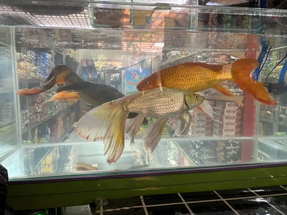 Aquarium fullset 90x40x40
