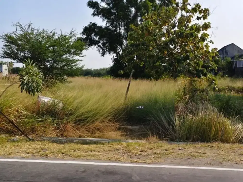 Tanah Pekarangan Murah Siap Bangun Lokasi Strategis