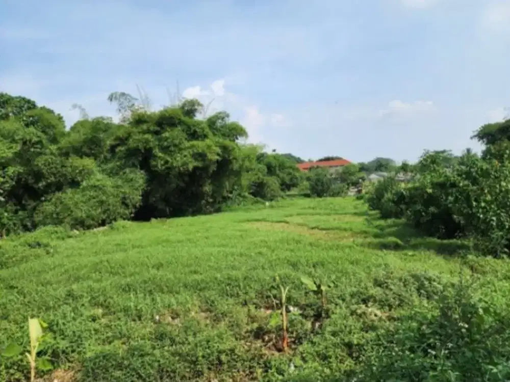 DIJUAL LAHAN STRATEGIS ZONA PEMUKIMAN DI SUSUKAN, BOJONG GEDE, BOGOR