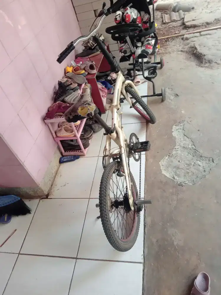 Sepeda lipat excotic