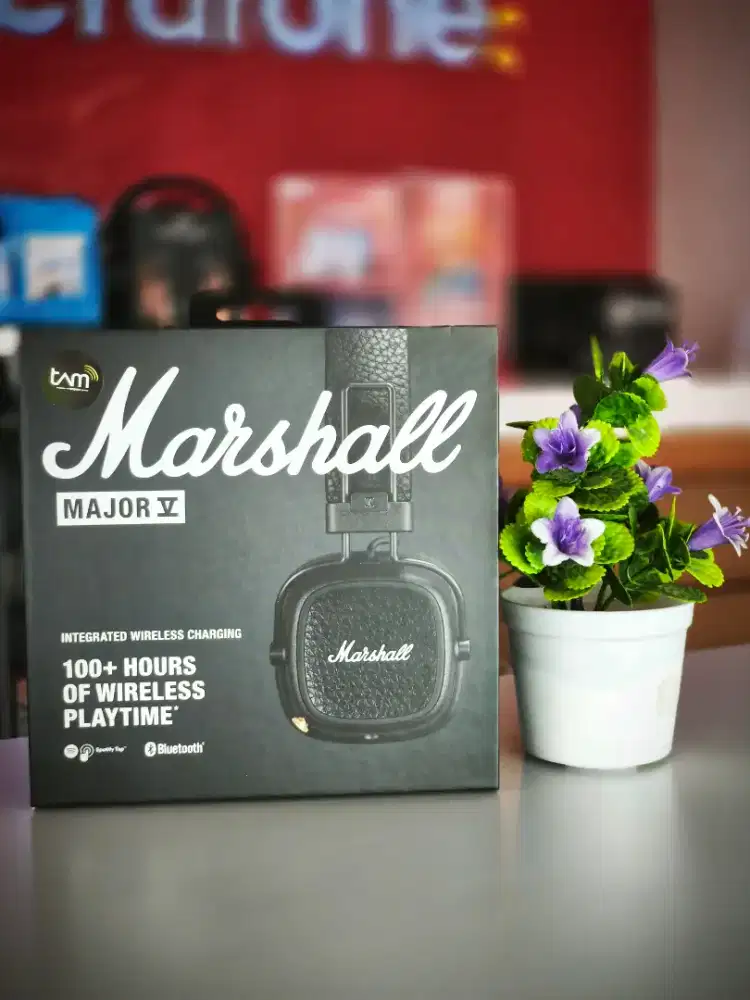 Marshall Major V Headphone