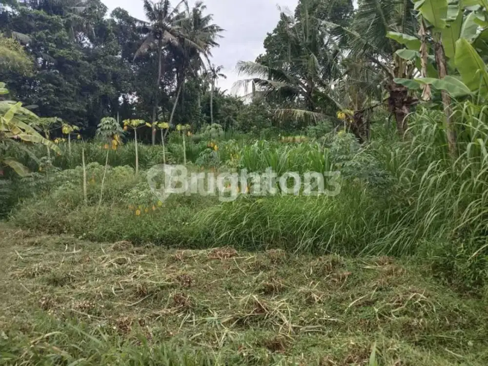 Turun Harga Tanah Kavling Lingkungan Nyaman Cocok untuk Villa di Pering Gianyar