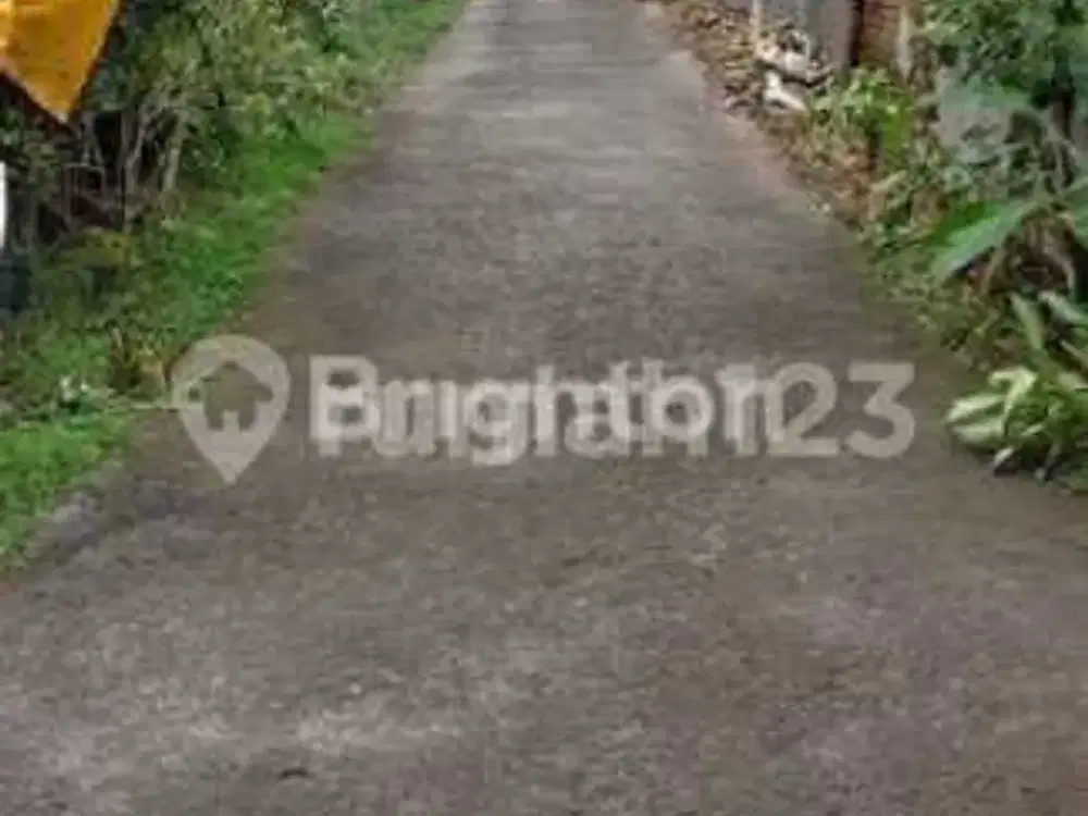 Di Jual Rumah Minamalis Lokasi Negara