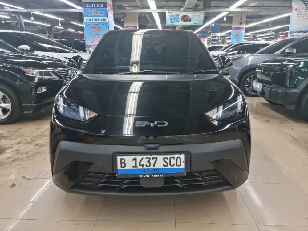 BYD ATTO 1 PREMIUM 2025 KM 8800