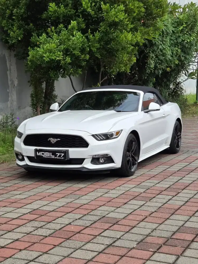 FORD MUSTANG 2.3 ECOBOOST CABRIOLET 2016 ODO 16RB